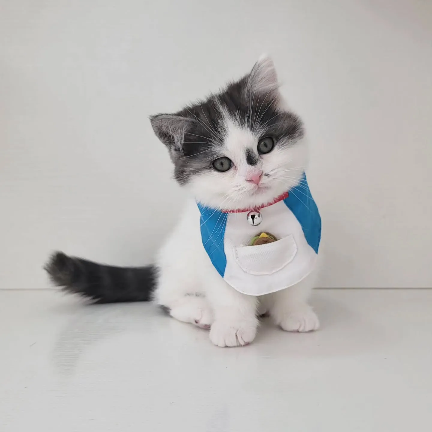 ドラえもんになったにゃ☺️