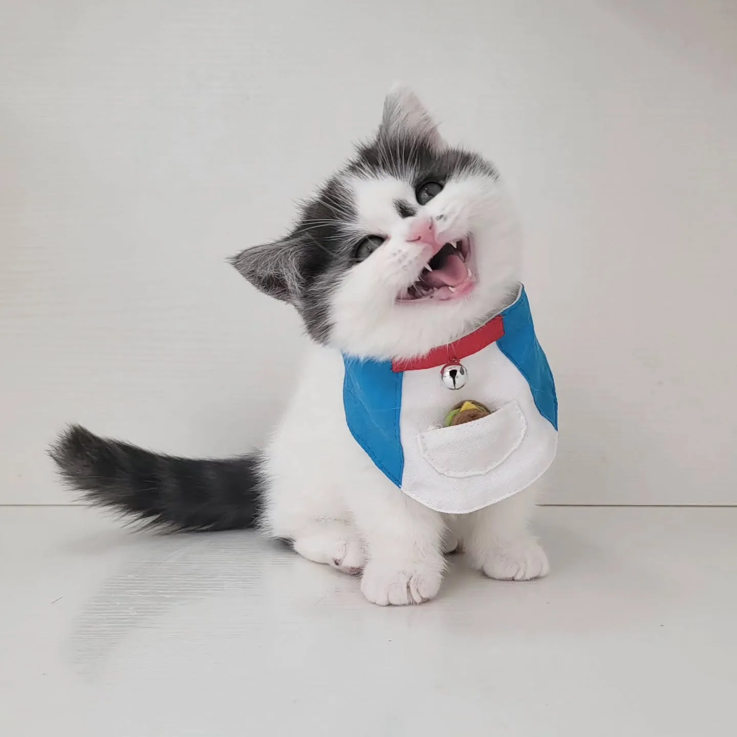 ドラえもんになったにゃ☺️
