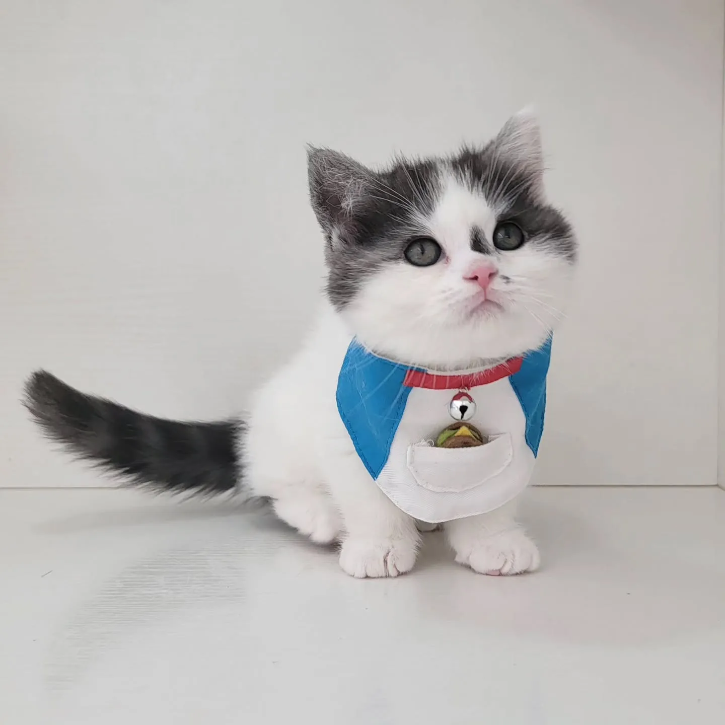 ドラえもんになったにゃ☺️