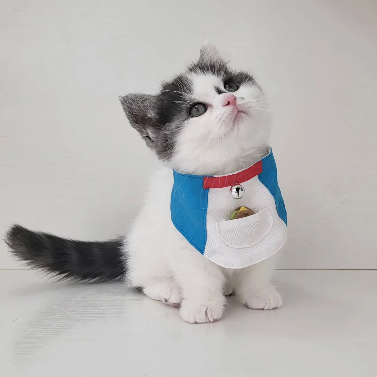 ドラえもんになったにゃ☺️