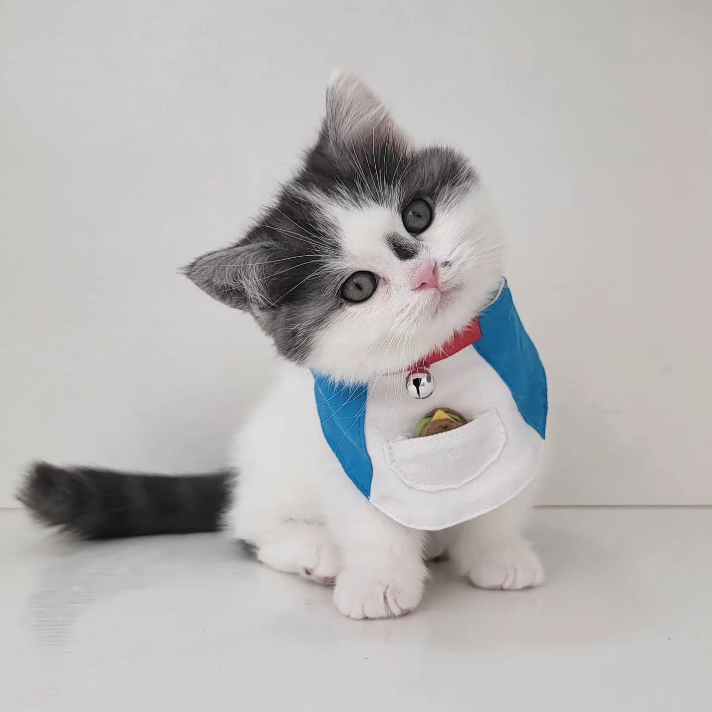 ドラえもんになったにゃ☺️