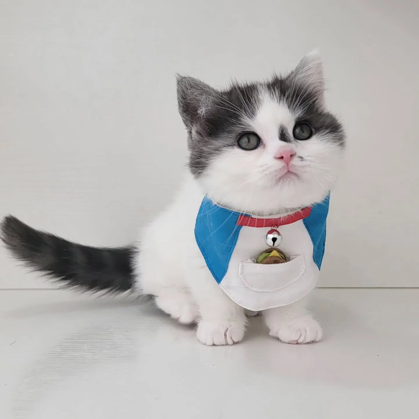 ドラえもんになったにゃ☺️