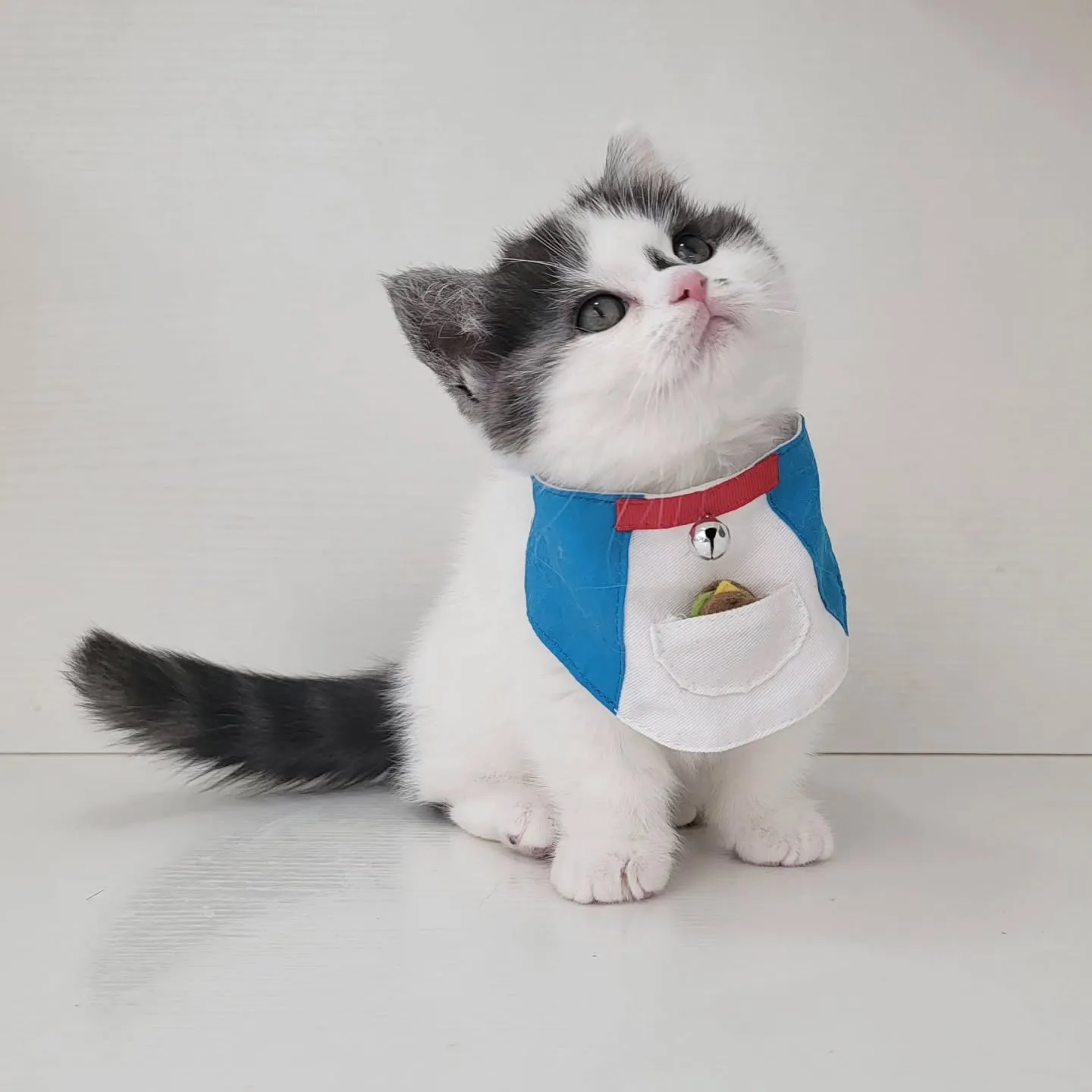 ドラえもんになったにゃ☺️