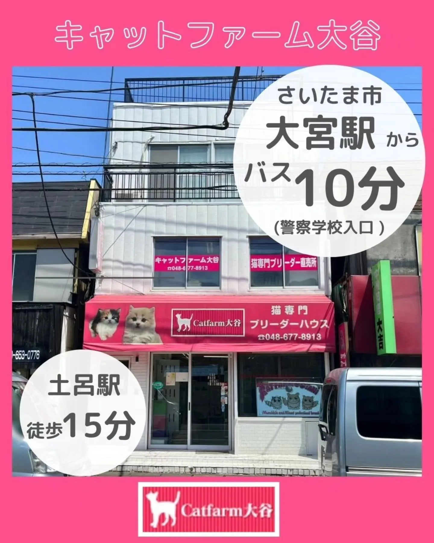 キャットファーム大谷🐾