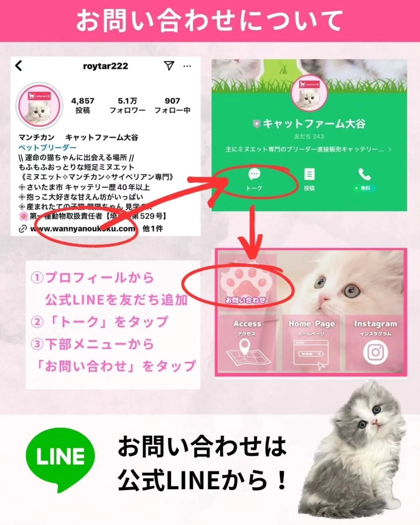 キャットファーム大谷🐾