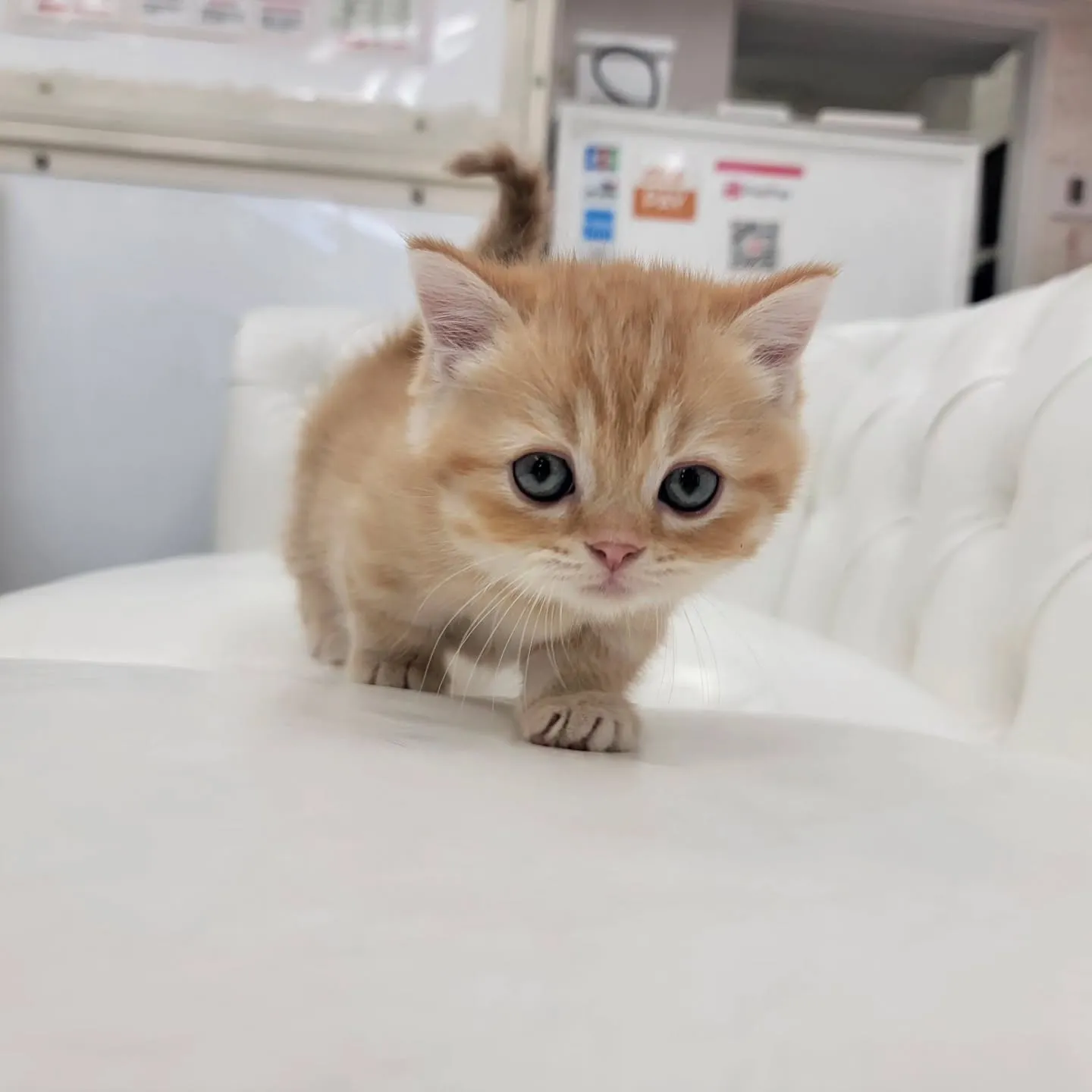 かわいいおちびちゃん❤️