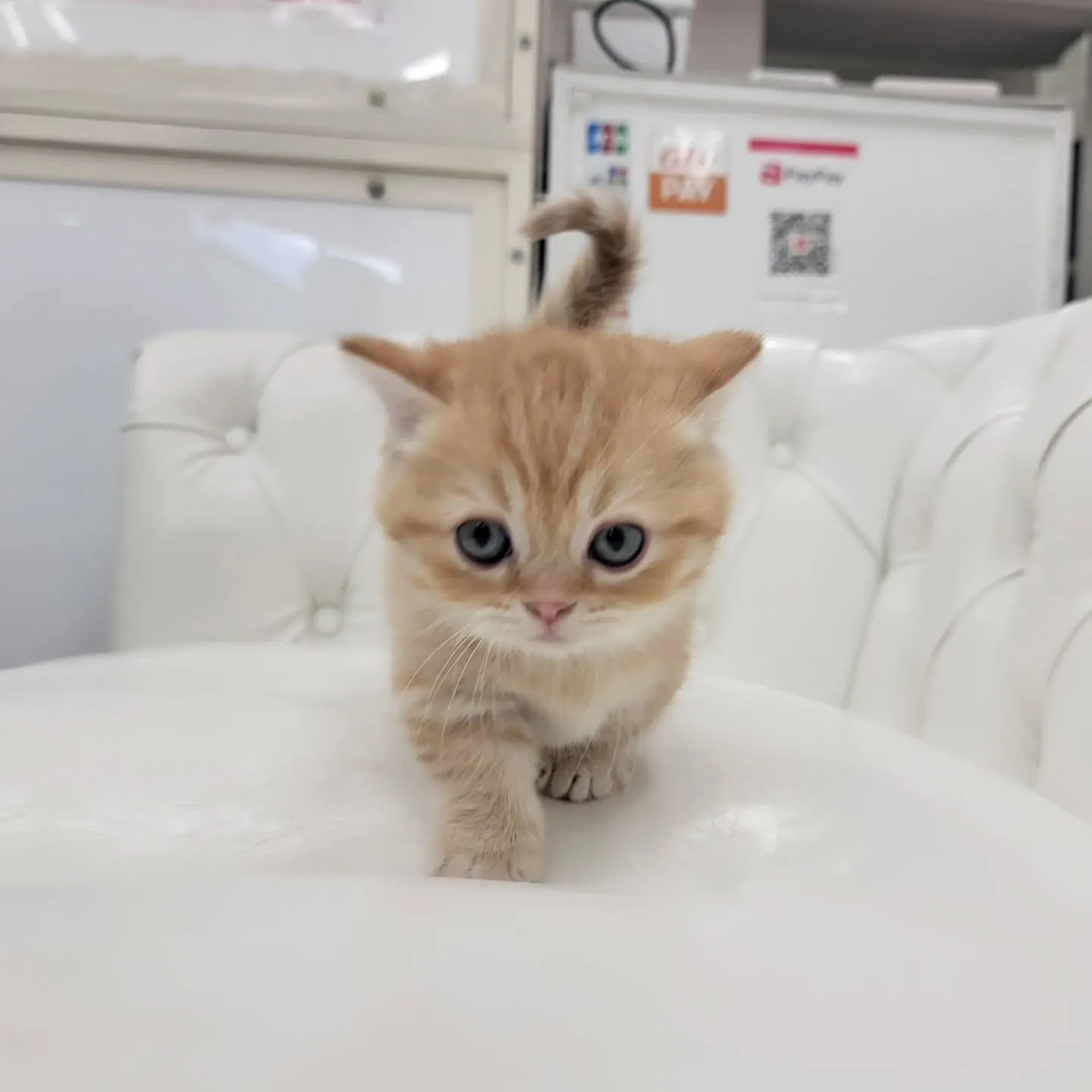 かわいいおちびちゃん❤️