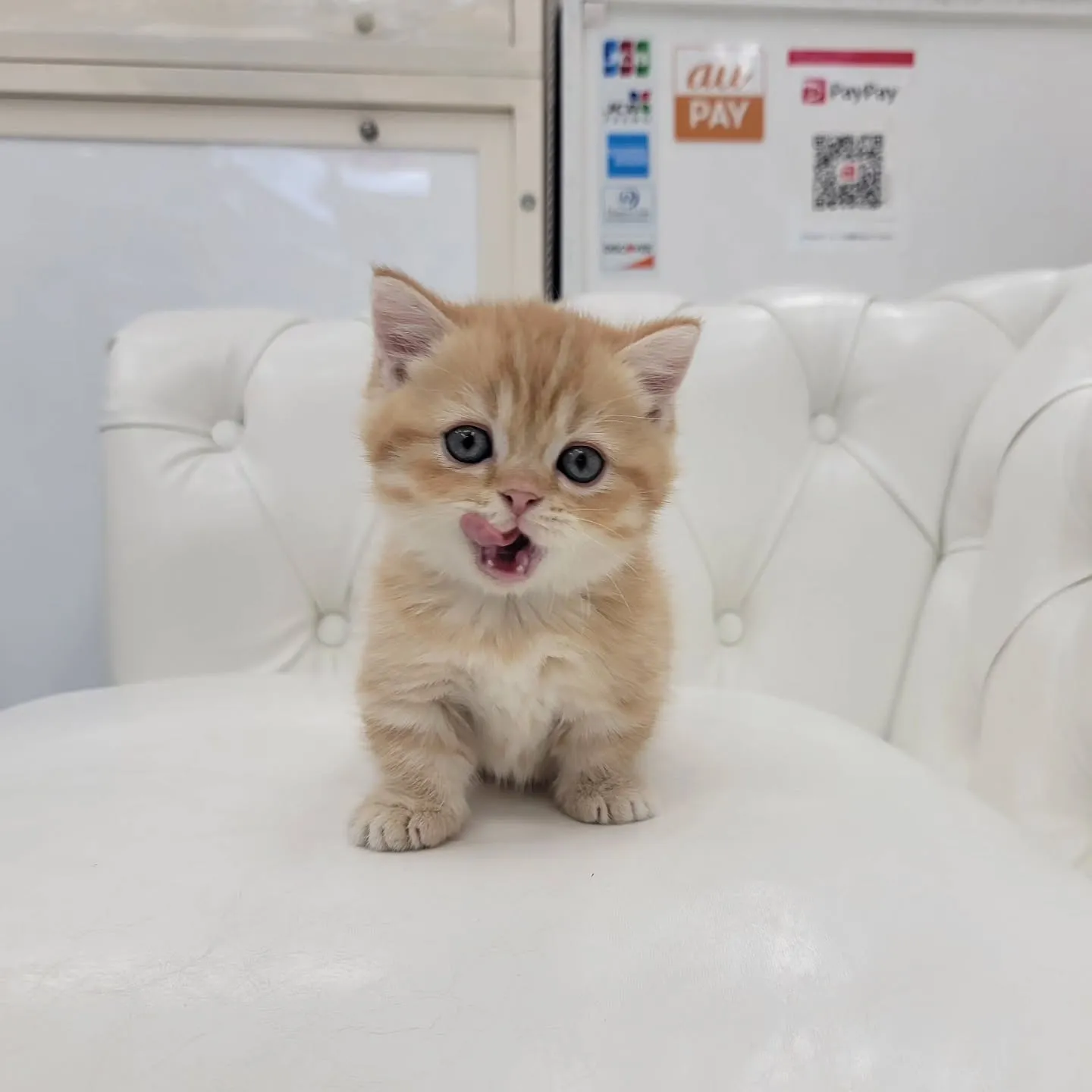 かわいいおちびちゃん❤️