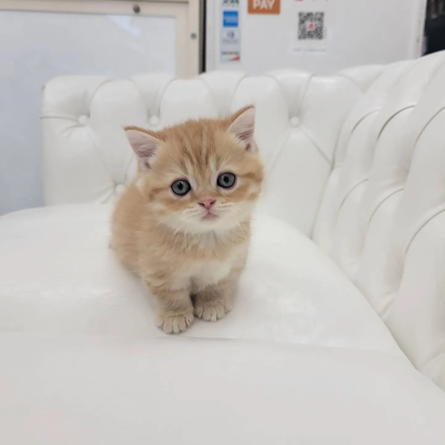 かわいいおちびちゃん❤️