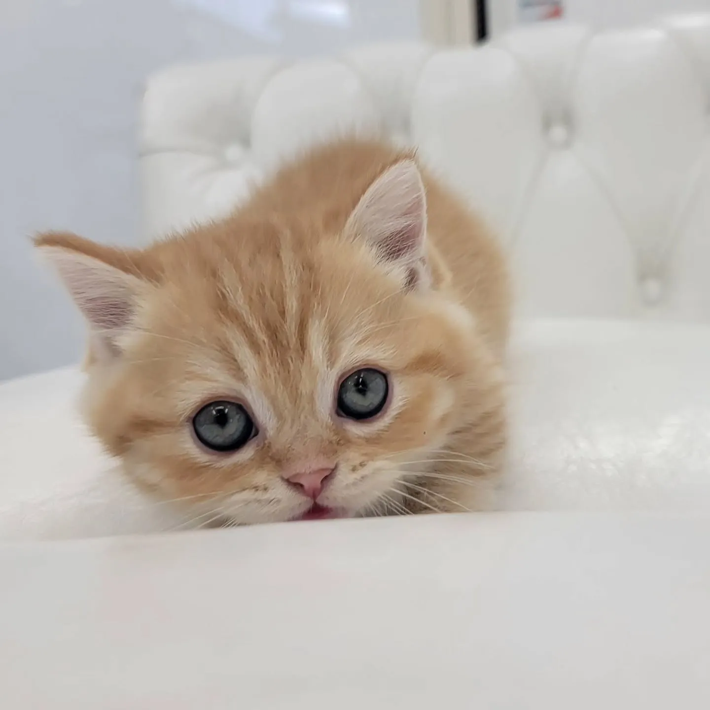 かわいいおちびちゃん❤️