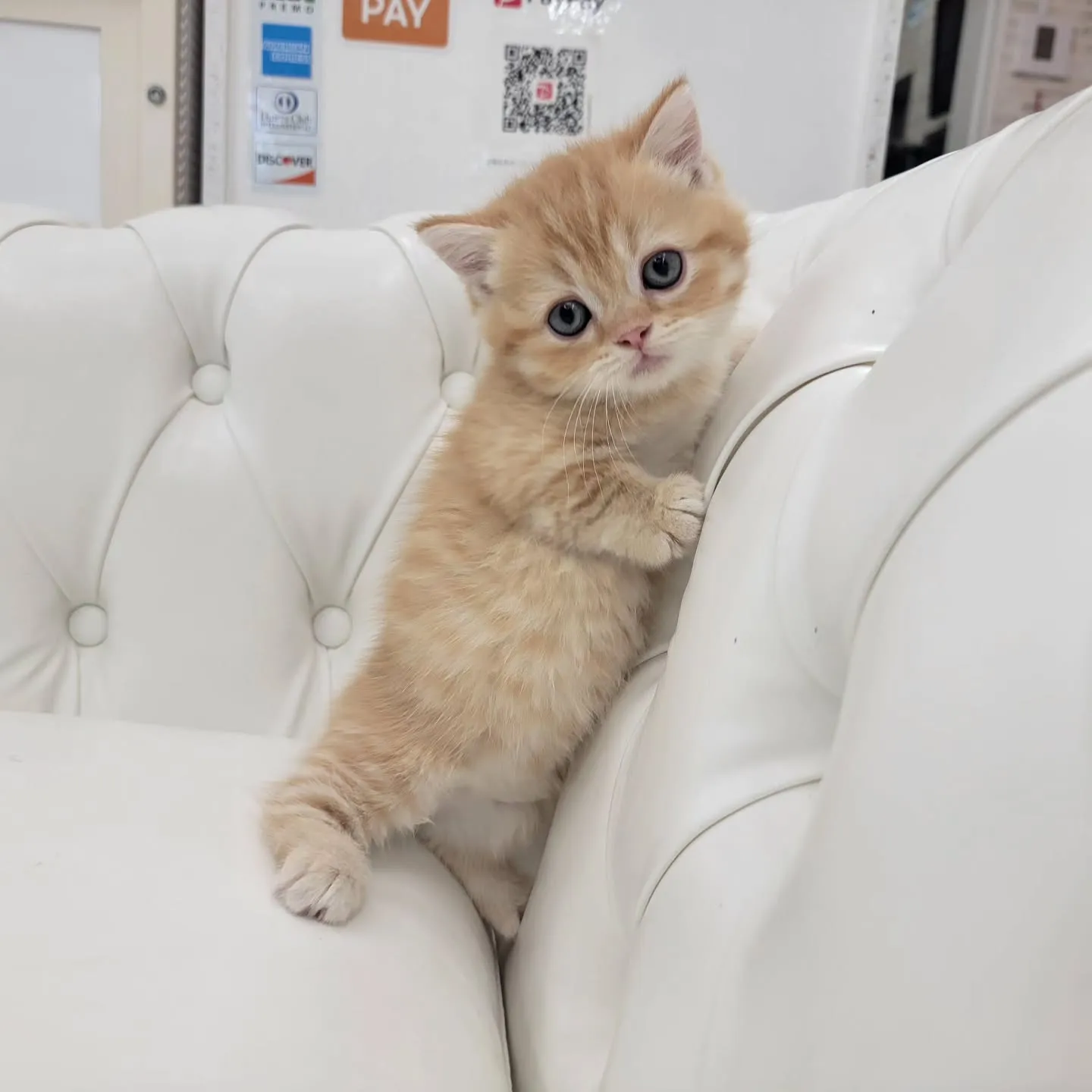 かわいいおちびちゃん❤️