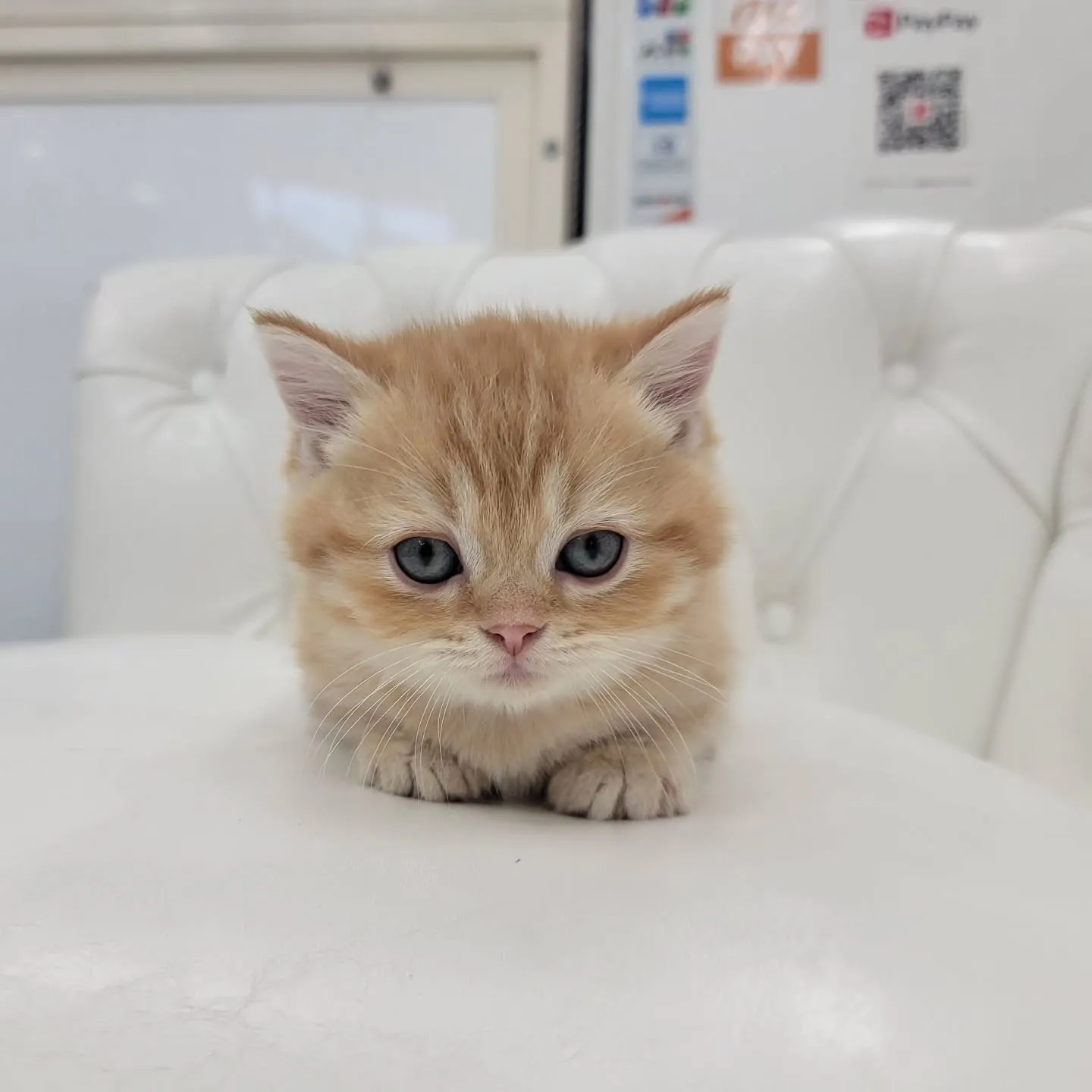 かわいいおちびちゃん❤️