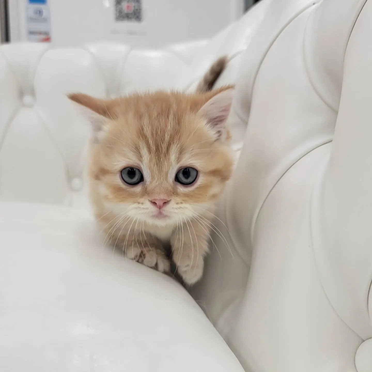 かわいいおちびちゃん❤️