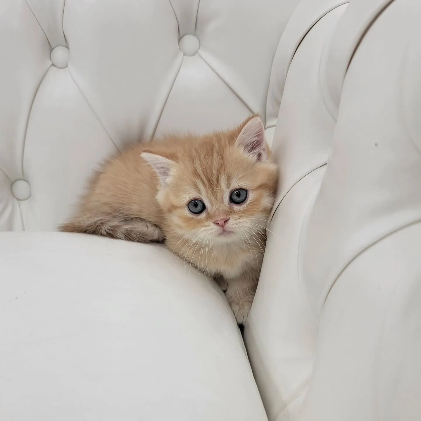 かわいいおちびちゃん❤️