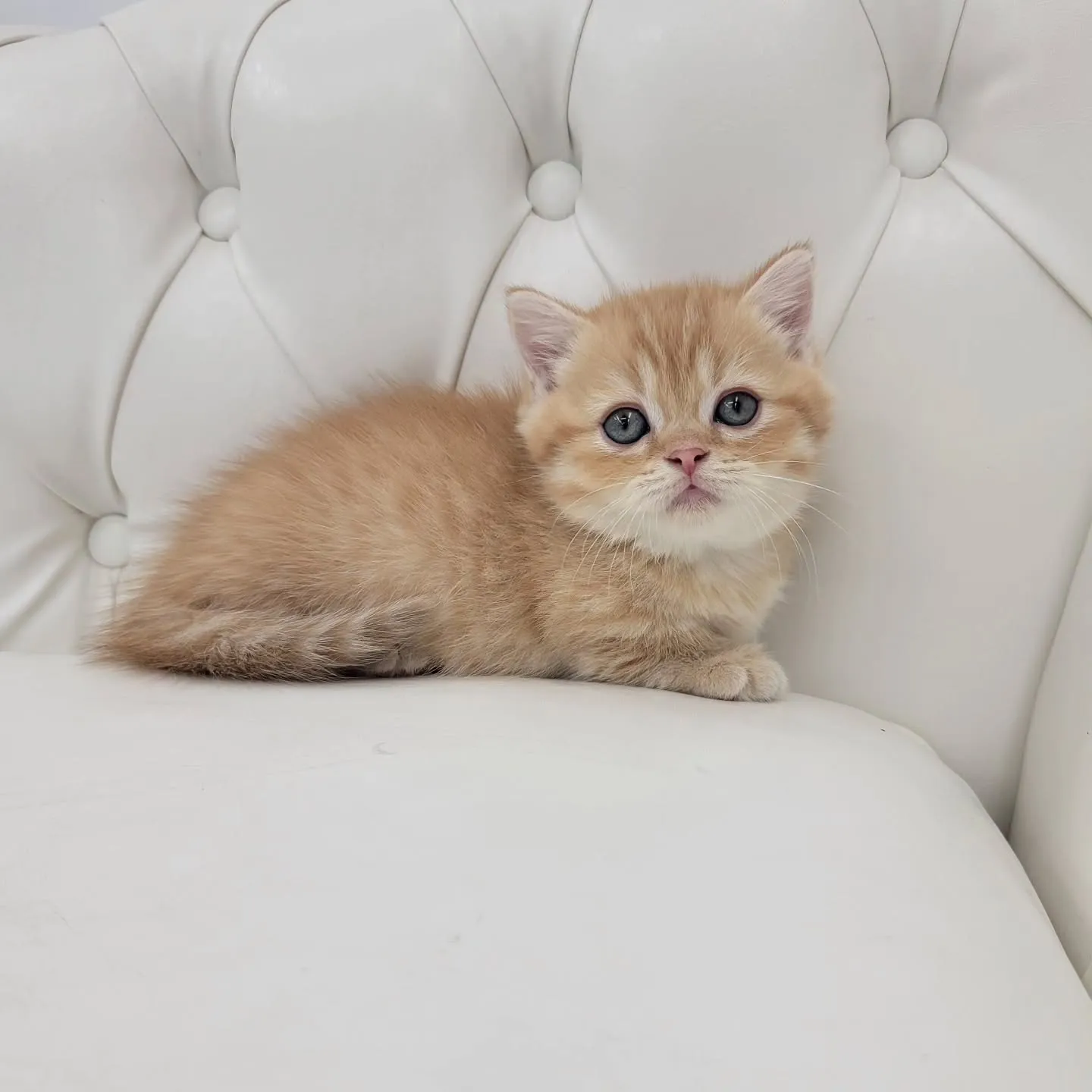 かわいいおちびちゃん❤️
