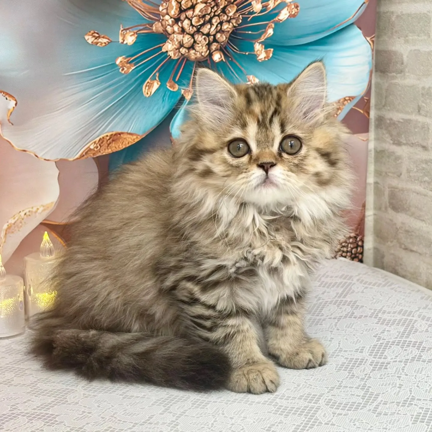 ホームページのお写真更新しました👀📷✨
