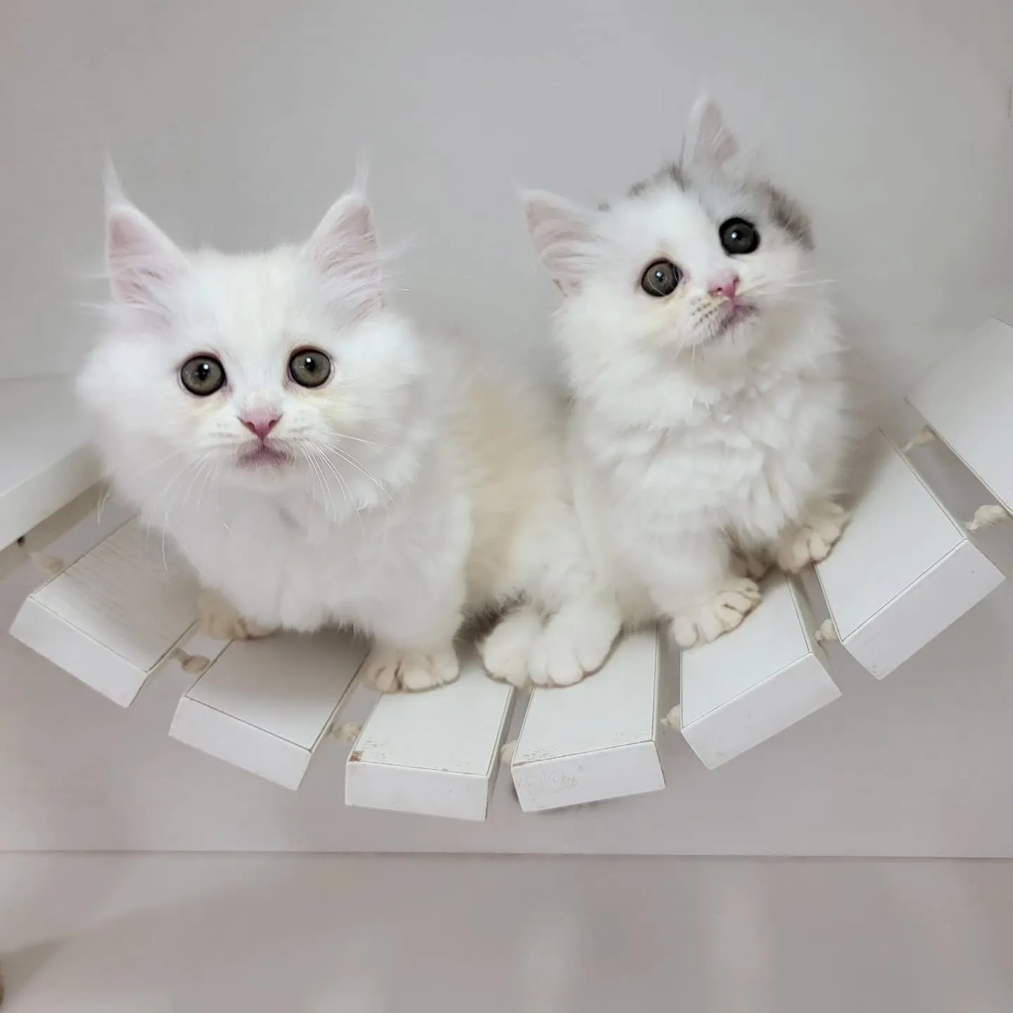 💕仲良し兄妹💕