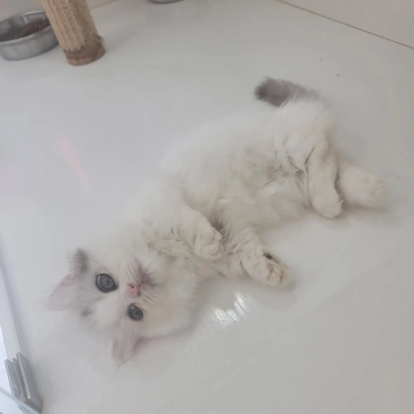 💕仲良し兄妹💕