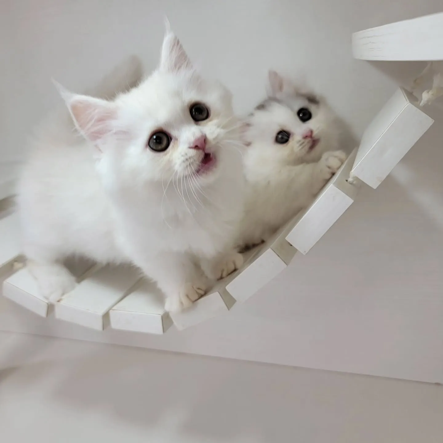 💕仲良し兄妹💕