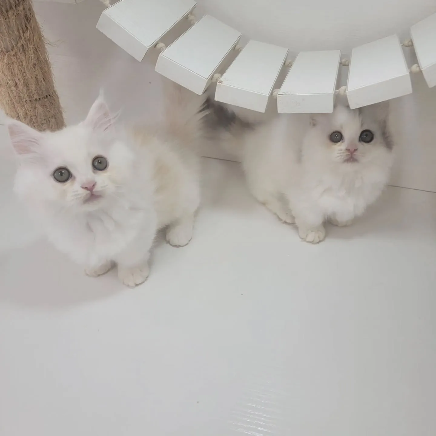 💕仲良し兄妹💕