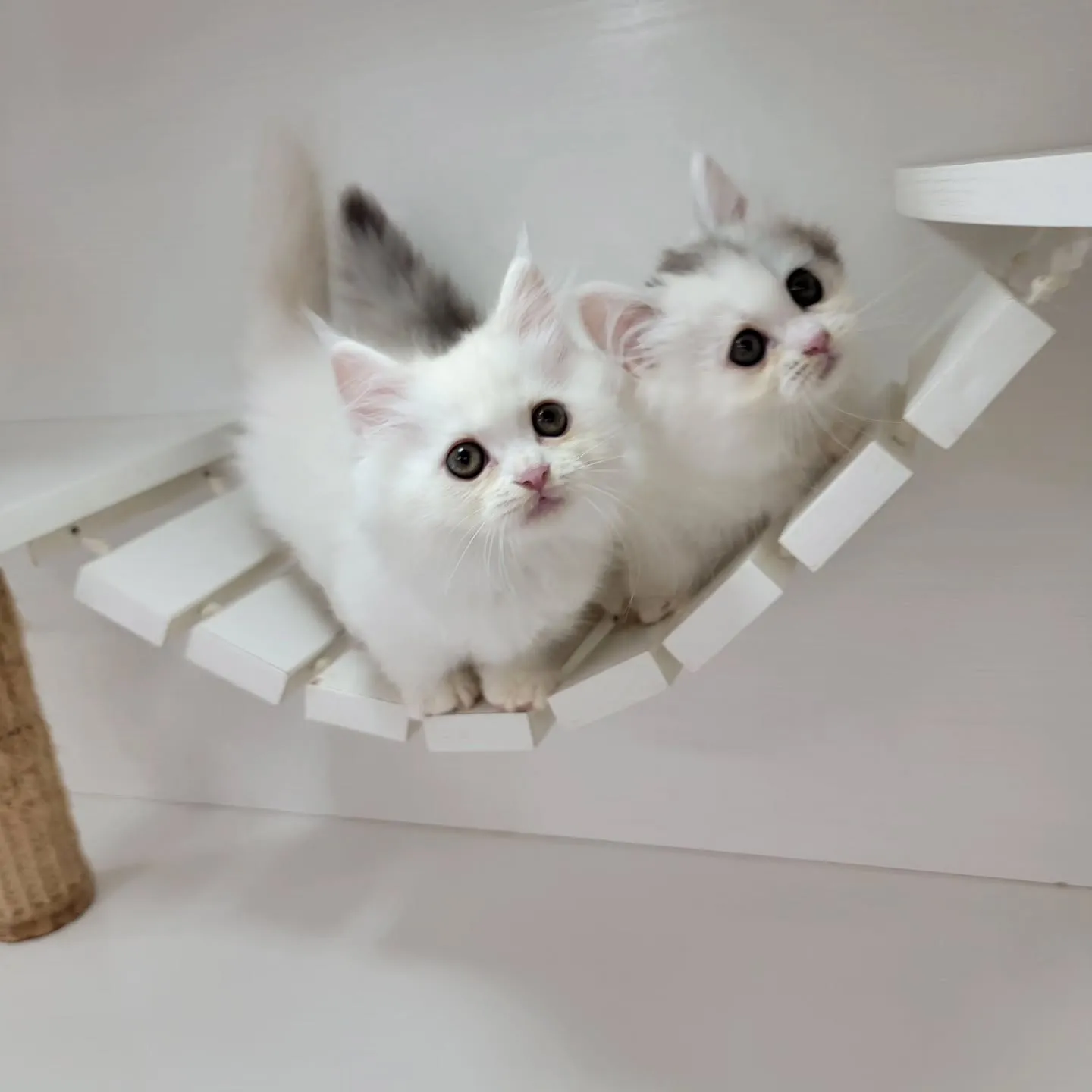 💕仲良し兄妹💕