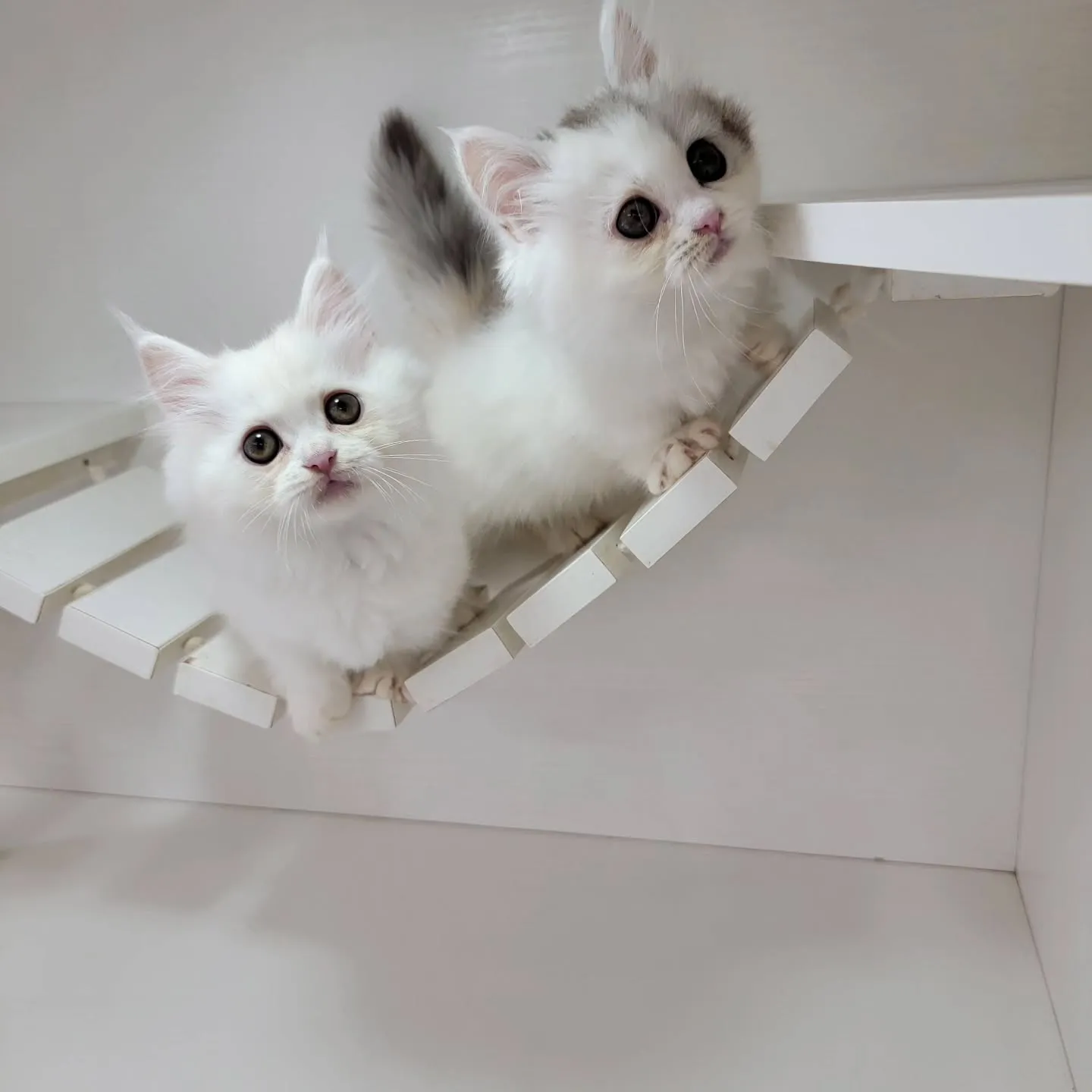 💕仲良し兄妹💕