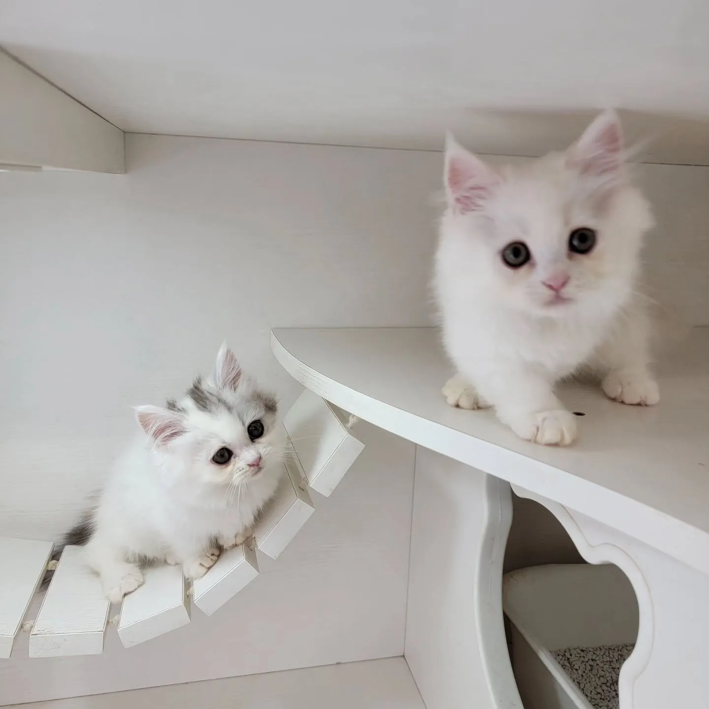 💕仲良し兄妹💕