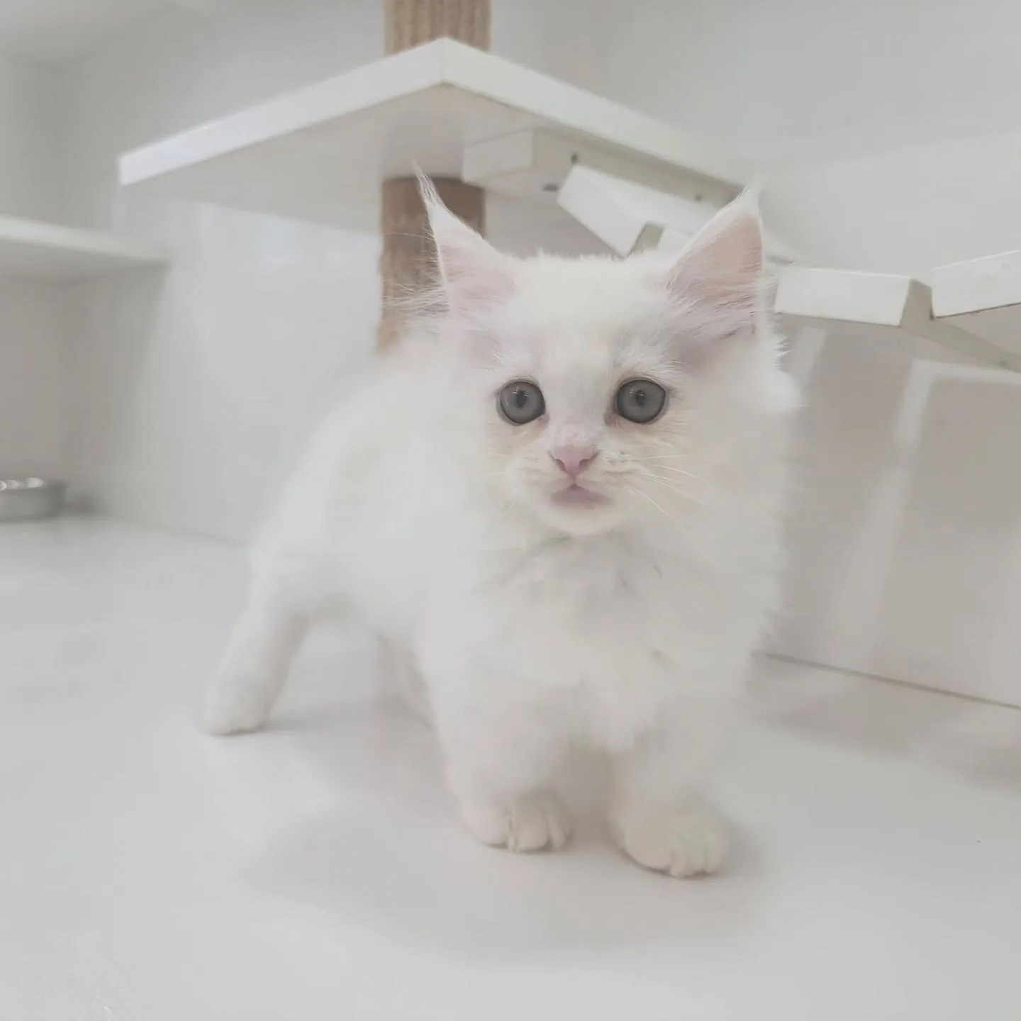 💕仲良し兄妹💕
