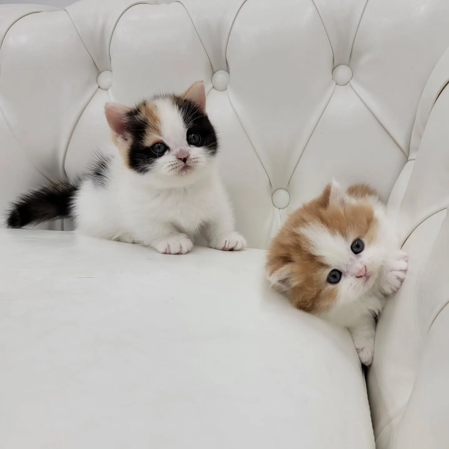 💕かわいい2人❤️🍒❤️