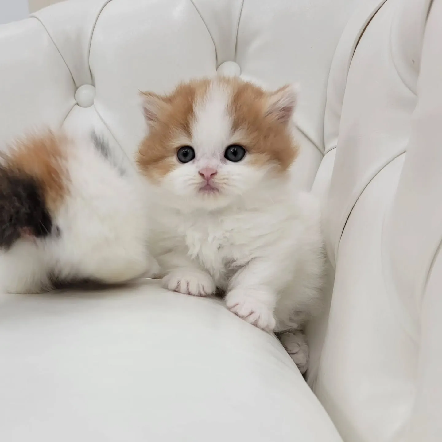💕かわいい2人❤️🍒❤️