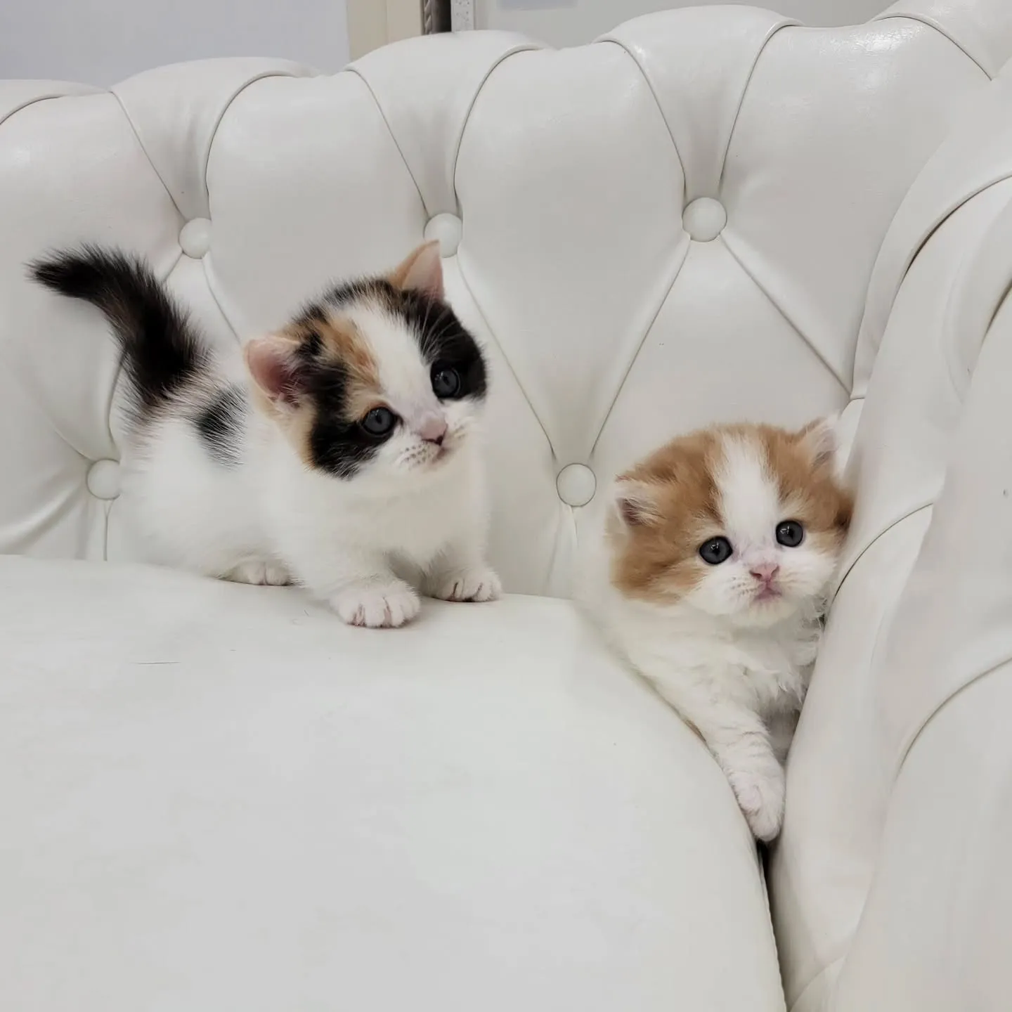 💕かわいい2人❤️🍒❤️
