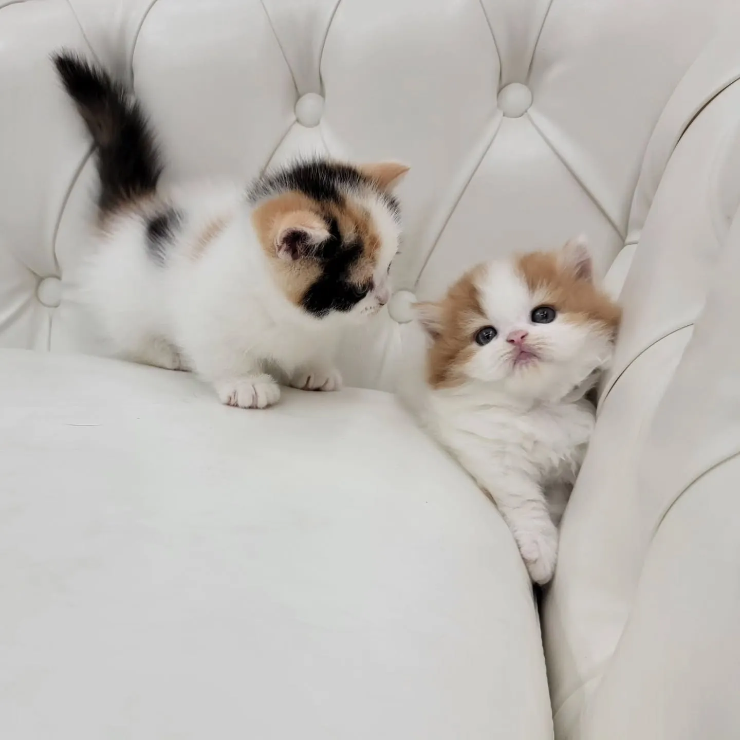 💕かわいい2人❤️🍒❤️