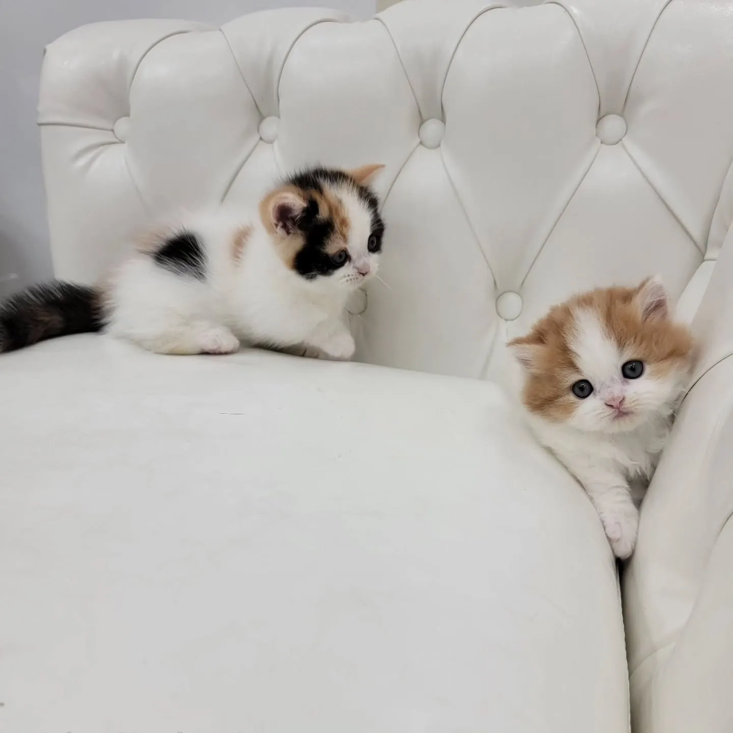 💕かわいい2人❤️🍒❤️