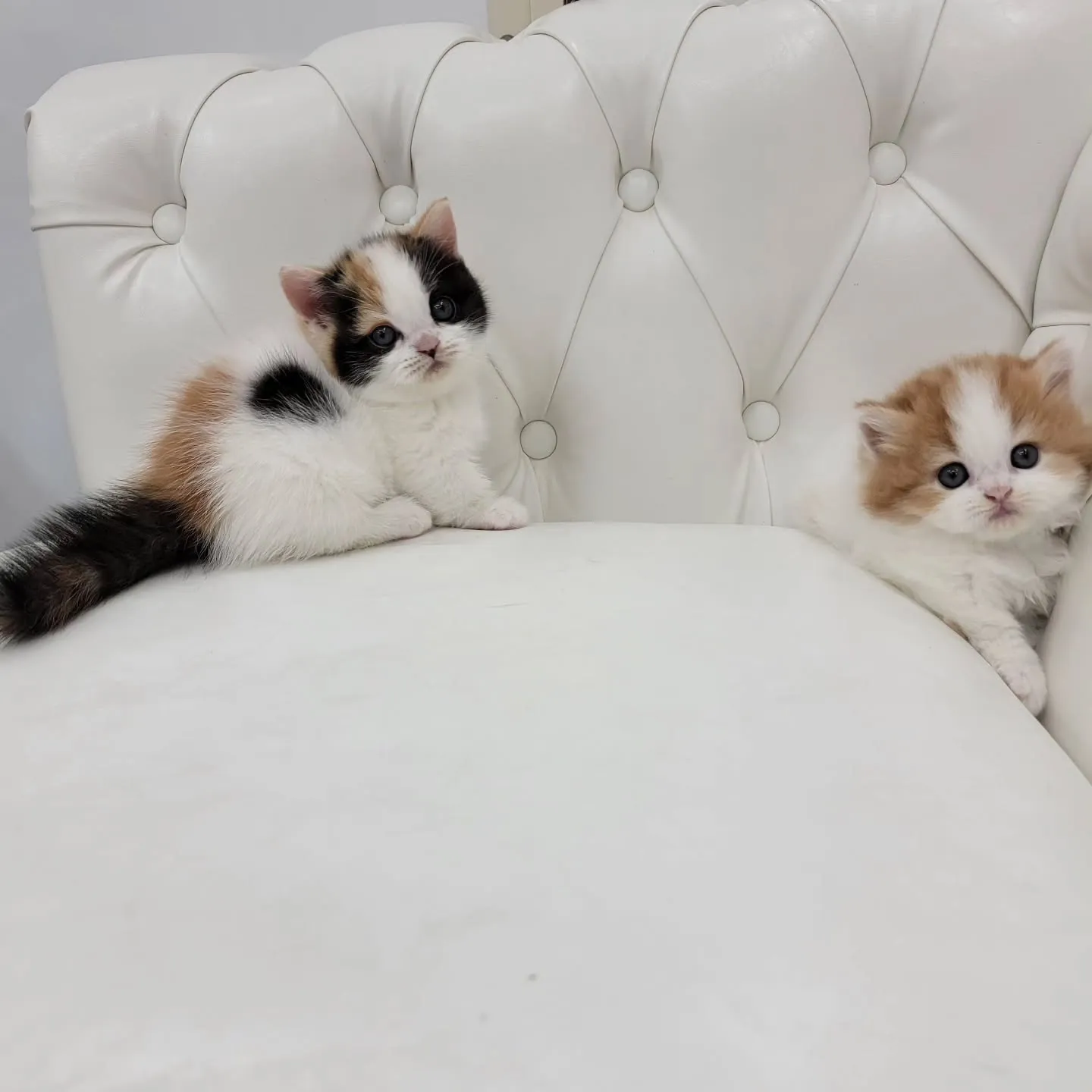 💕かわいい2人❤️🍒❤️