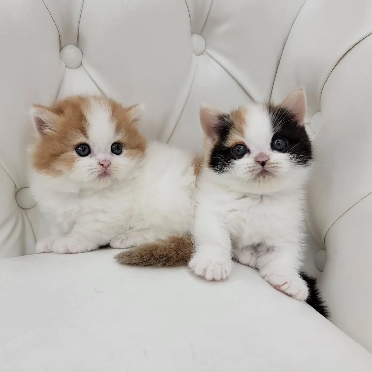 💕かわいい2人❤️🍒❤️