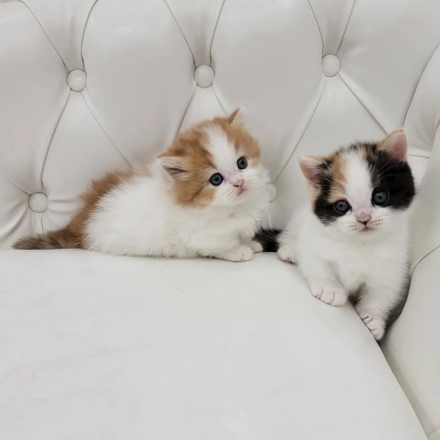 💕かわいい2人❤️🍒❤️