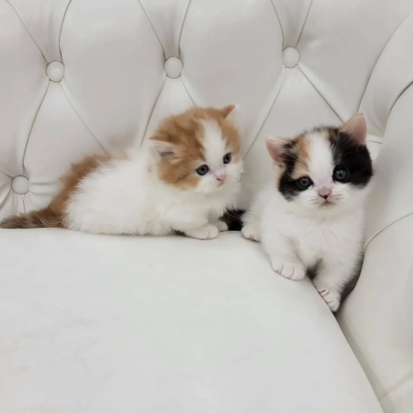 💕かわいい2人❤️🍒❤️