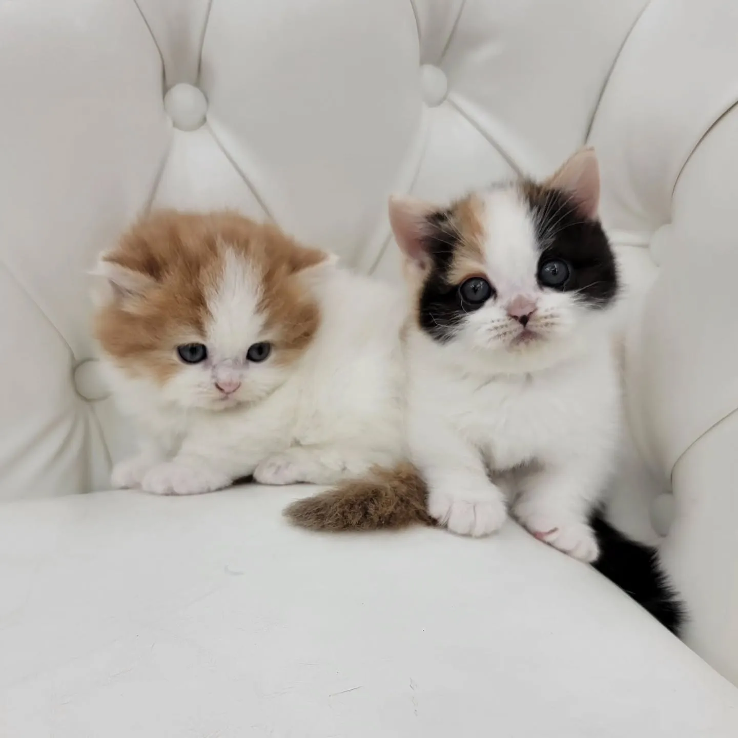 💕かわいい2人❤️🍒❤️