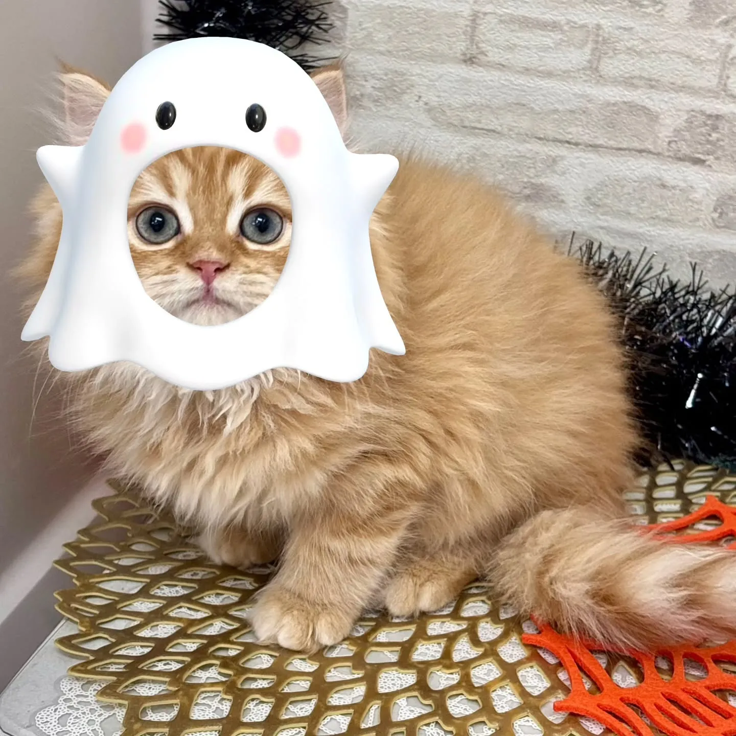 👻🎃HappyHalloween🎃👻