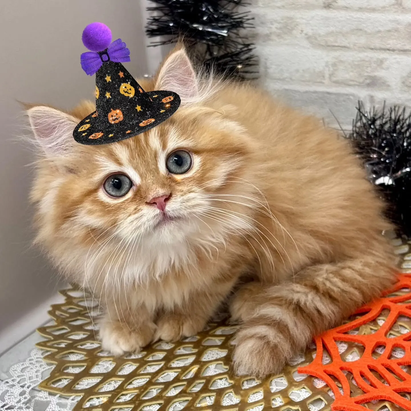 👻🎃HappyHalloween🎃👻